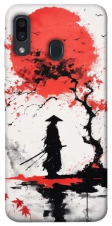 Чехол на Samsung Galaxy A20 / A30 Дух Японии фото 1 из 1