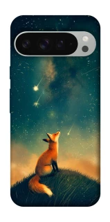 Чохол на Google Pixel 9 Pro XL Sky fox фото 1 з 1