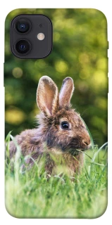 Чехол на Apple iPhone 12 (6.1") Кролики фото 1 из 1