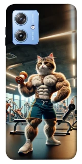 Чехол на Motorola Moto G84 Качок кот фото 1 из 1