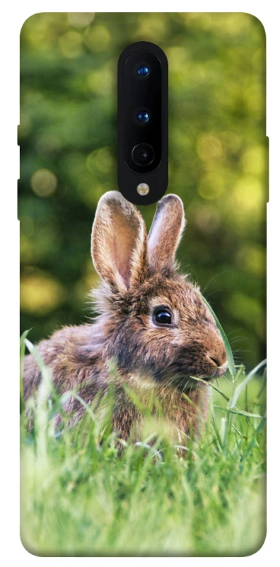 Чохол на OnePlus 8 Кролики фото 1 з 1