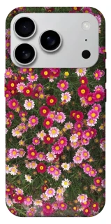 Чехол на Apple iPhone 17 Pro Max (6.9") Flowers v8 фото 1 из 1