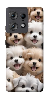 Чехол на Motorola Edge 50 Pro Doggy Love фото 1 из 1