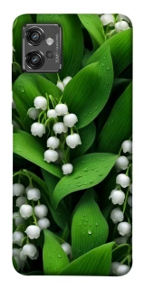 Чохол на Motorola Moto G32 Flowers v24 фото 1 з 1