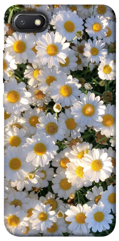 Чохол на Xiaomi Redmi 6A Поле ромашок фото 1 з 1