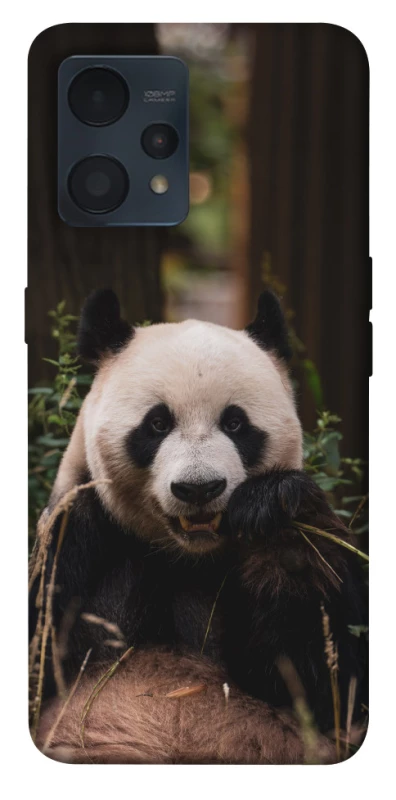 Чохол на Realme 9 4G / 9 Pro+ Панда фото 1 з 1