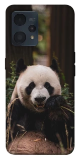Чохол на Realme 9 4G / 9 Pro+ Панда фото 1 з 1