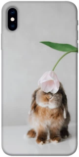 Чохол на Apple iPhone X (5.8") Bunny фото 1 з 1