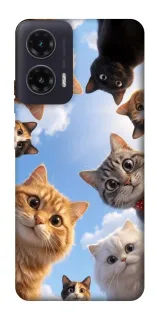 Чехол на Motorola Moto G35 Cats фото 1 из 1