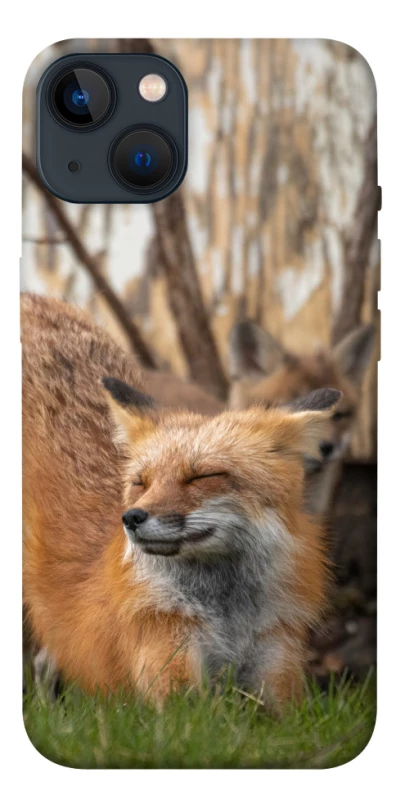 Чехол на Apple iPhone 13 (6.1") Лиса фото 1 из 1