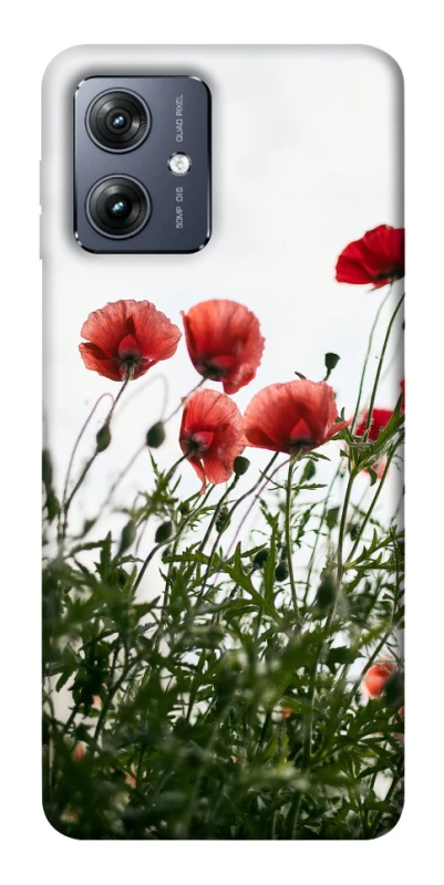 Чохол на Motorola Moto G54 Поле маків фото 1 з 1