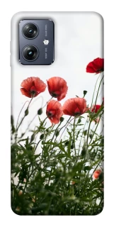 Чохол на Motorola Moto G54 Поле маків фото 1 Чохол на Motorola Moto G54 Поле маків фото 1 з 1