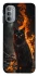 Чохол на Motorola Moto G31 Вогняний кіт фото 1 з 1
