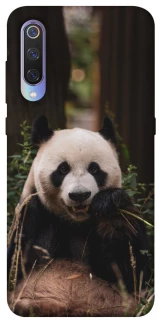 Чохол на Xiaomi Mi 9 Панда фото 1 з 1