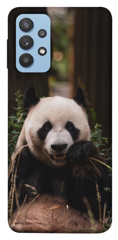 Чехол на Samsung Galaxy M32 Панда фото 1 из 1