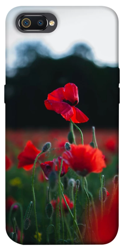 Чехол на Realme C2 Мак фото 1 из 1