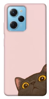 Чехол на Xiaomi Poco X5 Pro 5G Peeping cat фото 1 Чехол на Xiaomi Poco X5 Pro 5G Peeping cat фото 1 из 1