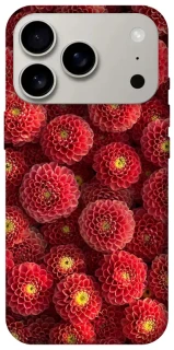 Чохол на Apple iPhone 17 Pro (6.3") Midnight1 фото 1 з 1