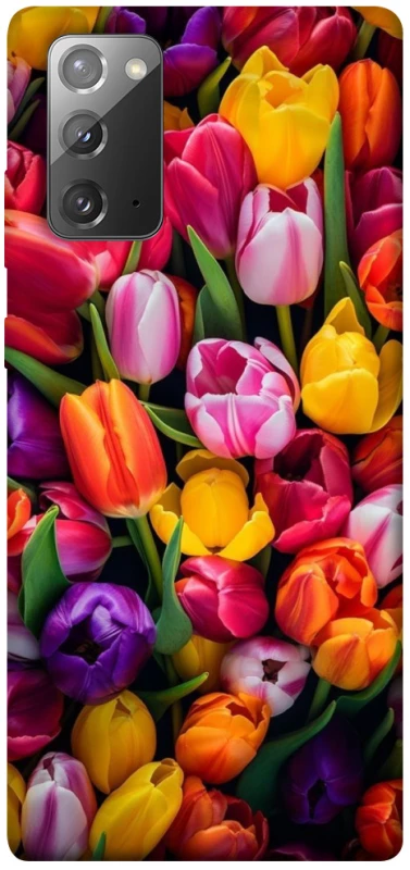 Чохол на Samsung Galaxy Note 20 Flowers v30 фото 1 з 1