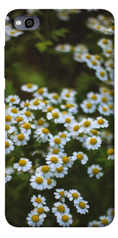 Чехол на Xiaomi Redmi 4a Ромашки v13 фото 1 из 1