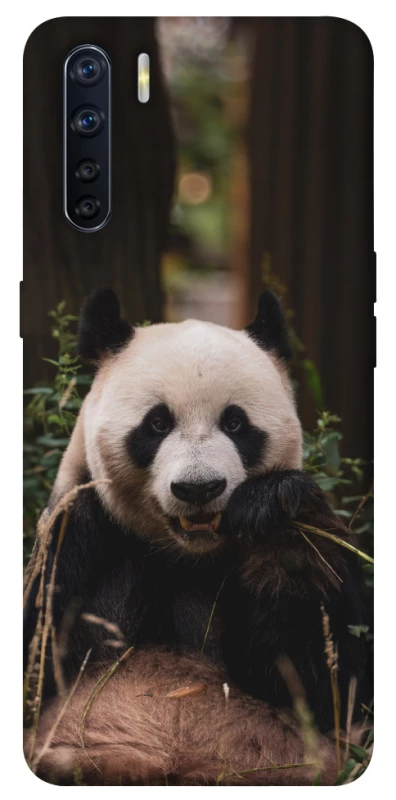 Чехол на Oppo A91 Панда фото 1 из 1