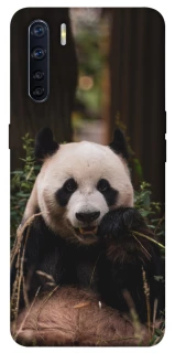 Чохол на Oppo A91 Панда фото 1 з 1