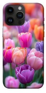 Чехол на Apple iPhone 14 Pro Max (6.7") Поле тюльпанов фото 1 из 1