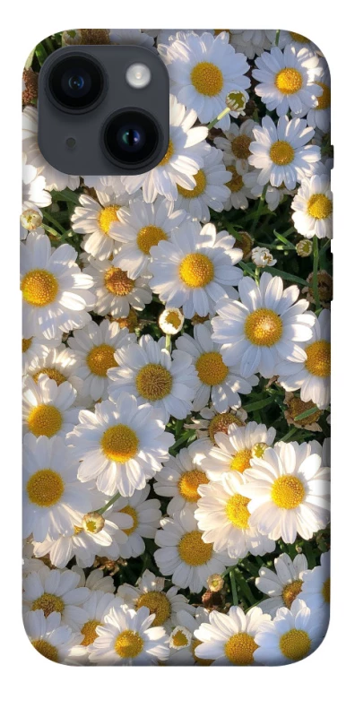 Чохол на Apple iPhone 14 (6.1") Поле ромашок фото 1 з 1