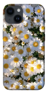 Чохол на Apple iPhone 14 (6.1") Поле ромашок фото 1 з 1