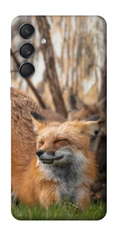 Чохол на Samsung Galaxy M55 Лисиця фото 1 з 1