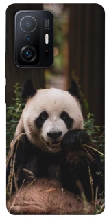 Чехол на Xiaomi 11T / 11T Pro Панда фото 1 из 1