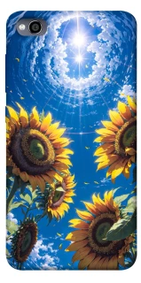 Чехол на Xiaomi Redmi 4a Sunflowers фото 1 из 1