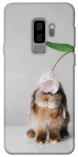 Чохол на Samsung Galaxy S9+ Bunny фото 1 з 1
