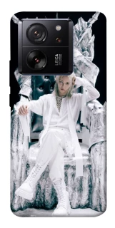 Чехол на Xiaomi 13T Felix GIANT фото 1 из 1