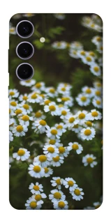 Чехол на Samsung Galaxy S25+ Ромашки v13 фото 1 из 1