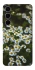 Чохол на Samsung Galaxy S25+ Ромашки v13 фото 1 з 1