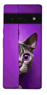 Чохол на Google Pixel 6 Pro Кіт-підглядач фото 1 з 1