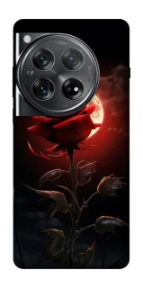 Чехол на OnePlus 12 Красная роза фото 1 из 1