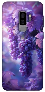 Чохол на Samsung Galaxy S9+ Bunch of grapes фото 1 з 1