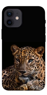 Чехол на Apple iPhone 12 mini (5.4") Leopard v4 фото 1 из 1