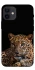 Чохол на Apple iPhone 12 mini (5.4") Leopard v4 фото 1 з 1