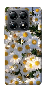 Чохол на Xiaomi 14T Поле ромашок фото 1 з 1
