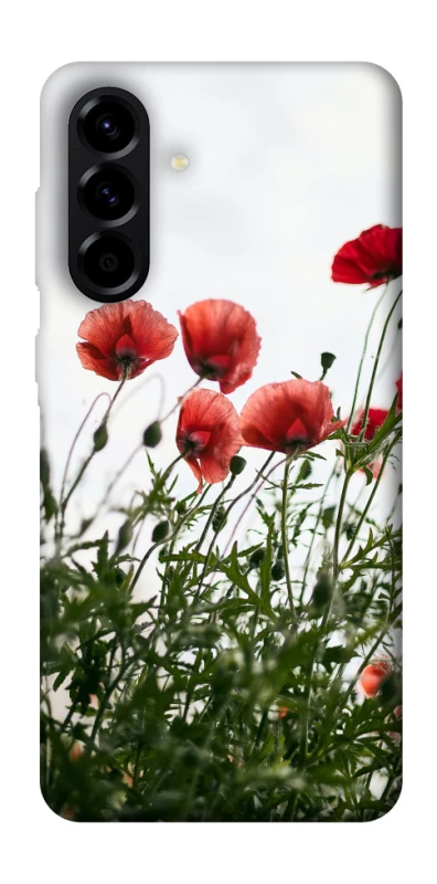 Чехол на Samsung Galaxy A56 5G Поле маков фото 1 из 1