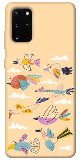 Чехол на Samsung Galaxy S20+ Перелёт фото 1 из 1