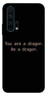 Чехол на Huawei Honor 20 Pro House of the Dragon ver.9 фото 1 из 1