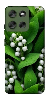 Чохол на Motorola Moto G56 5G Flowers v24 фото 1 з 1