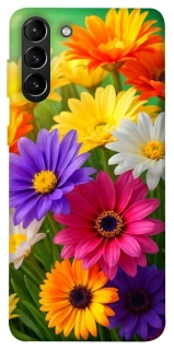 Чехол на Samsung Galaxy S21+ Flowers v32 фото 1 из 1