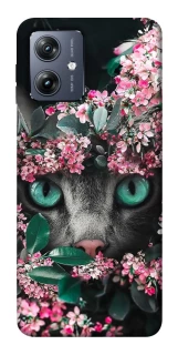 Чохол на Motorola Moto G54 Кіт в квітах фото 1 Чохол на Motorola Moto G54 Кіт в квітах фото 1 з 1
