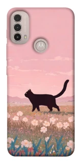 Чехол на Motorola Moto E40 cat on a field фото 1 из 1