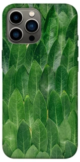 Чохол на Apple iPhone 13 Pro Max (6.7") Листя фото 1 з 1
